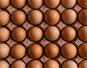 These eggs are like us. </p>
<p>No egg is any more or less special than any other. </p>
<p>Sorry bout it. </p>
<p>Photo by Erol Ahmed on Unsplash