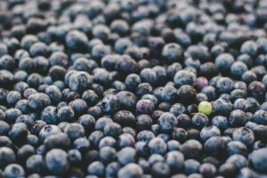 You're not special. </p>
<p>Not even you, blueberry. </p>
<p>Photo by Jessica Ruscello on Unsplash